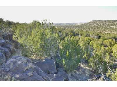 Residential Land For Sale in Show Low, Arizona