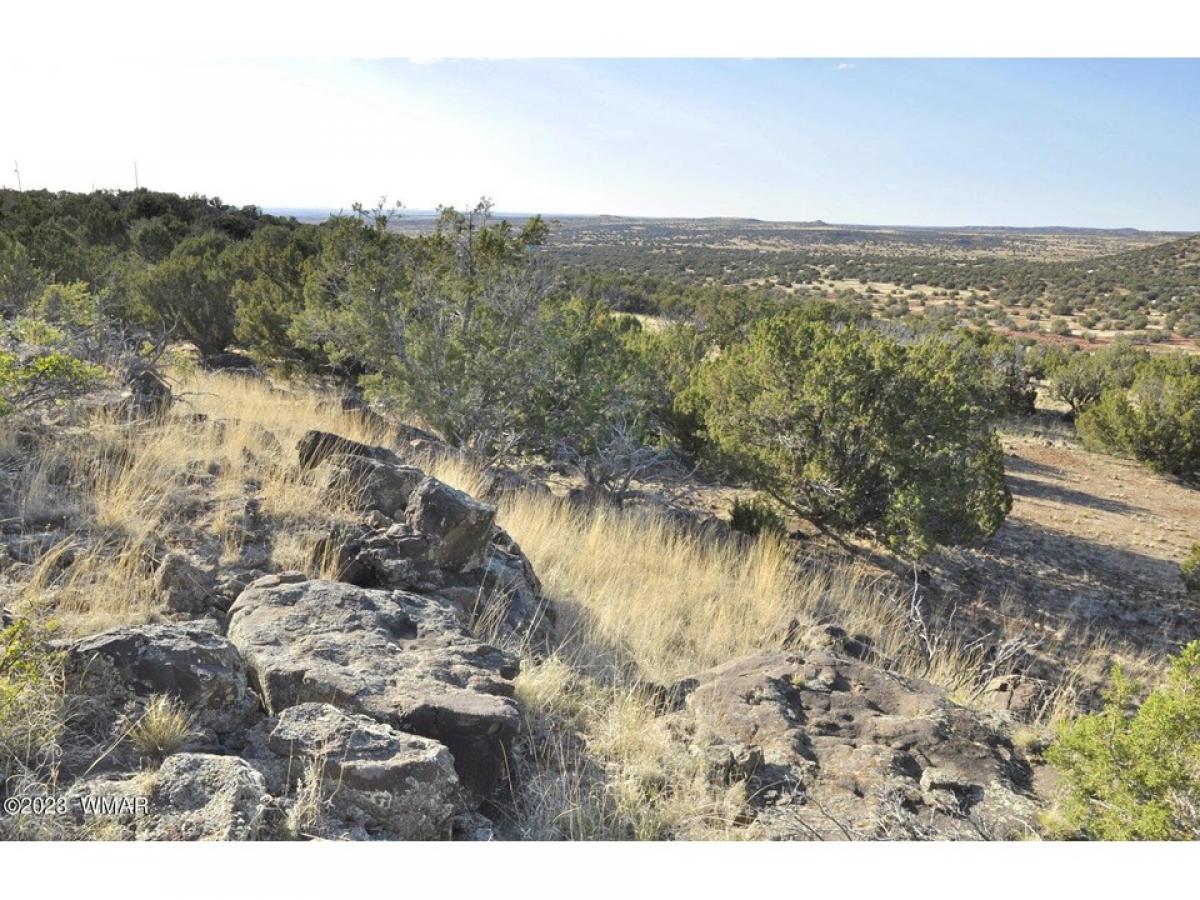 Picture of Residential Land For Sale in Show Low, Arizona, United States