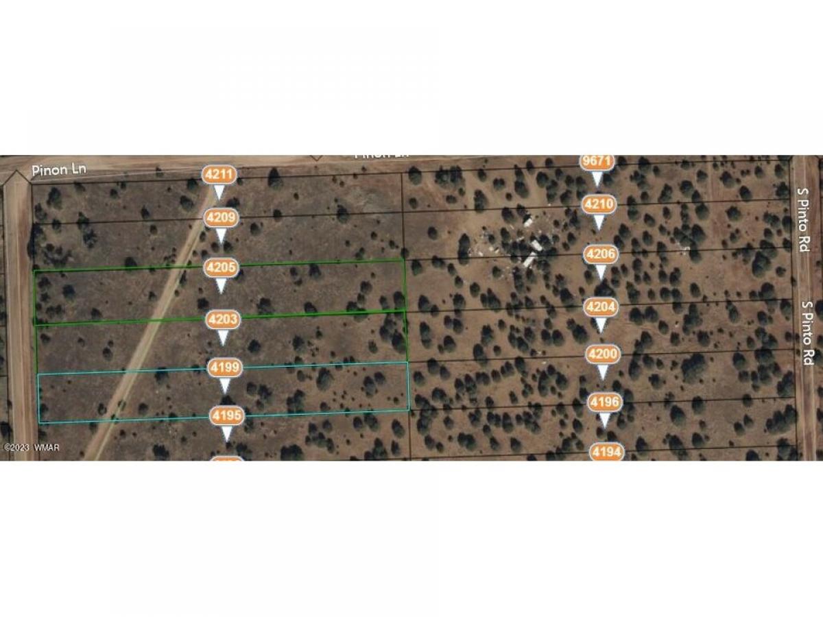 Picture of Residential Land For Sale in Snowflake, Arizona, United States