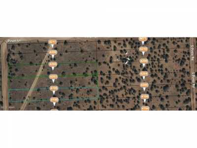 Residential Land For Sale in Snowflake, Arizona