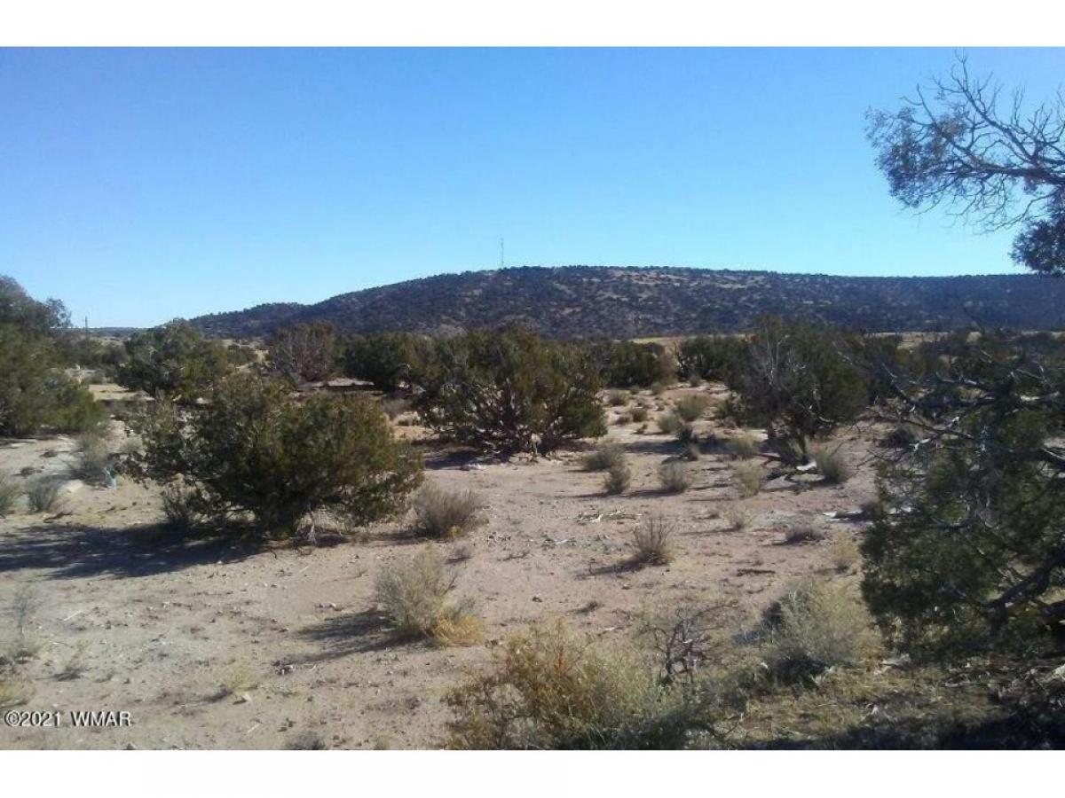 Picture of Residential Land For Sale in Snowflake, Arizona, United States