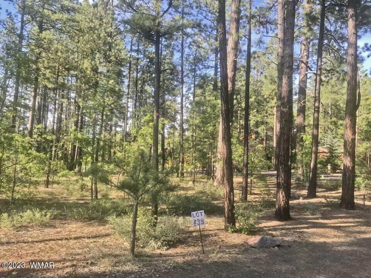 Picture of Residential Land For Sale in Pinetop, Arizona, United States