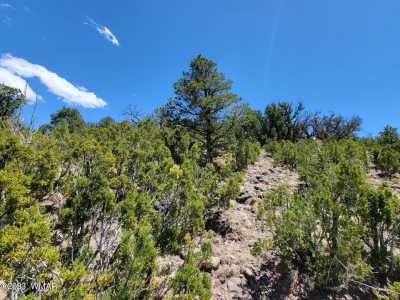 Residential Land For Sale in Eagar, Arizona