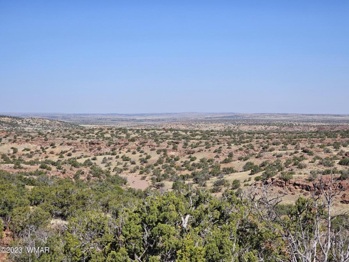 Picture of Residential Land For Sale in Saint Johns, Arizona, United States