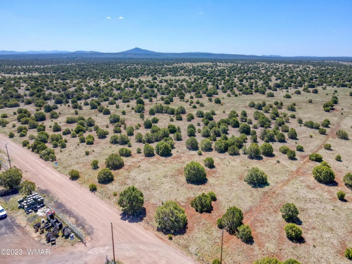 Picture of Residential Land For Sale in Show Low, Arizona, United States