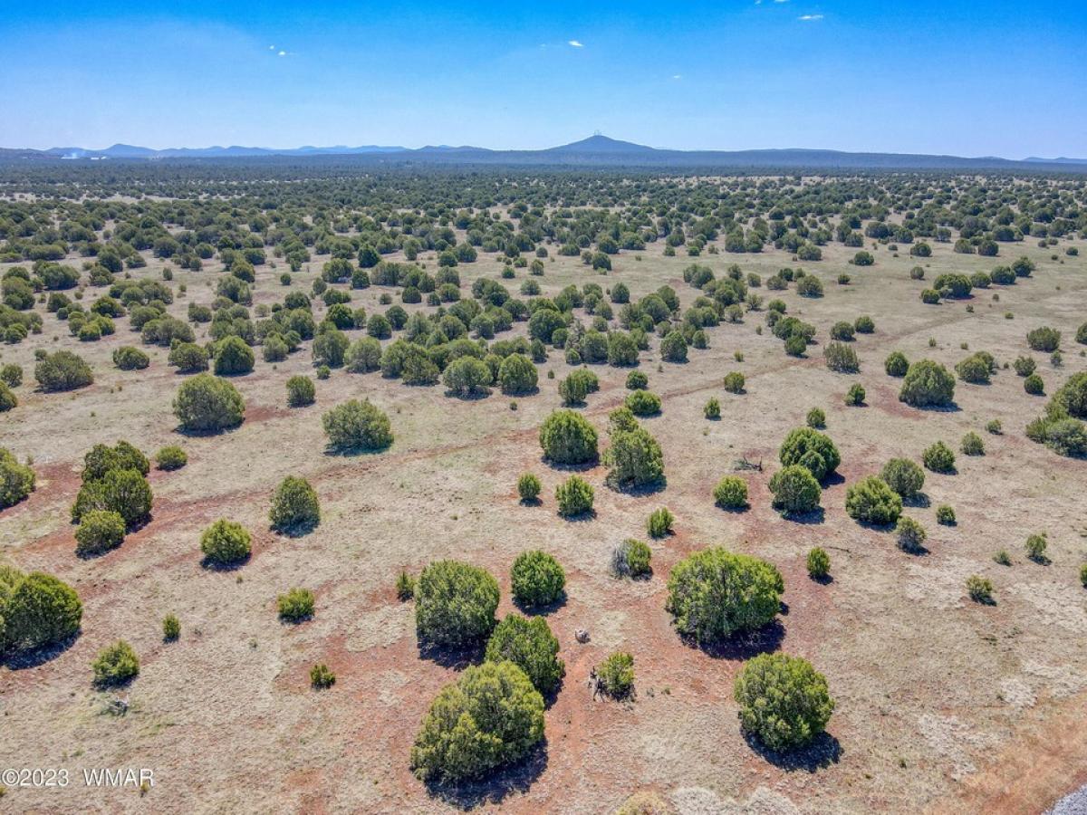 Picture of Residential Land For Sale in Show Low, Arizona, United States