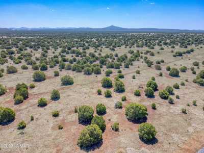 Residential Land For Sale in Show Low, Arizona