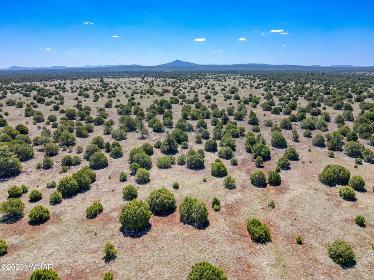 Picture of Residential Land For Sale in Show Low, Arizona, United States