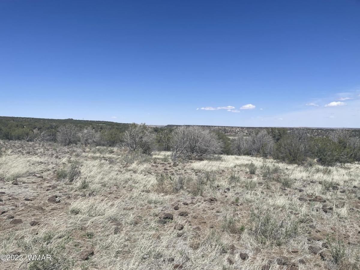 Picture of Residential Land For Sale in Show Low, Arizona, United States