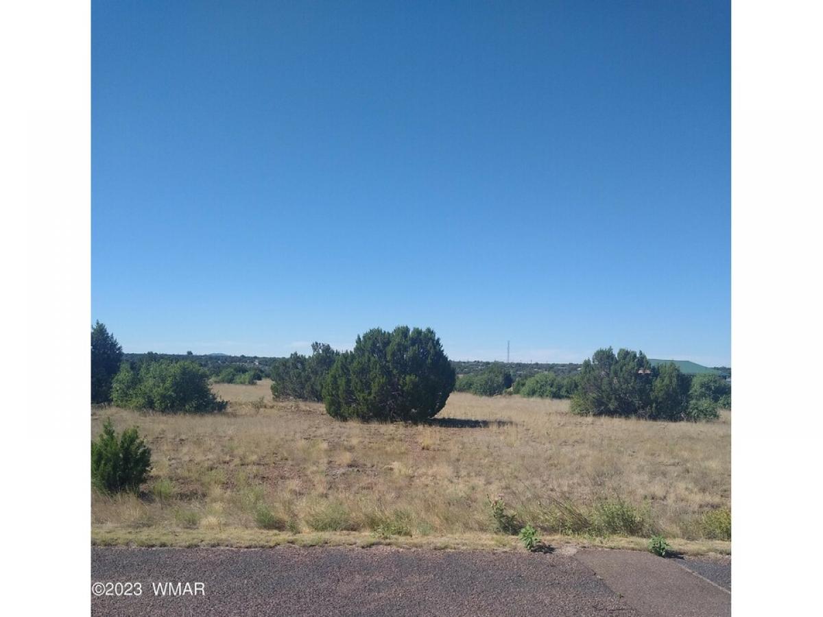 Picture of Residential Land For Sale in Show Low, Arizona, United States