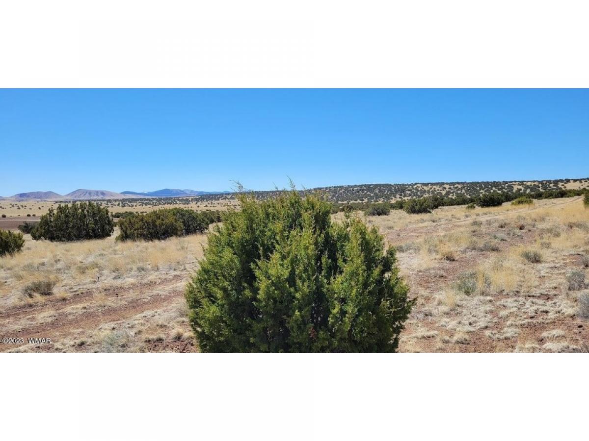 Picture of Residential Land For Sale in Concho, Arizona, United States