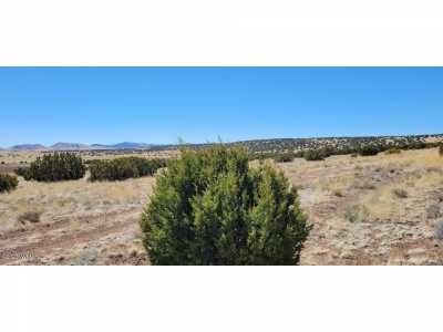 Residential Land For Sale in Concho, Arizona