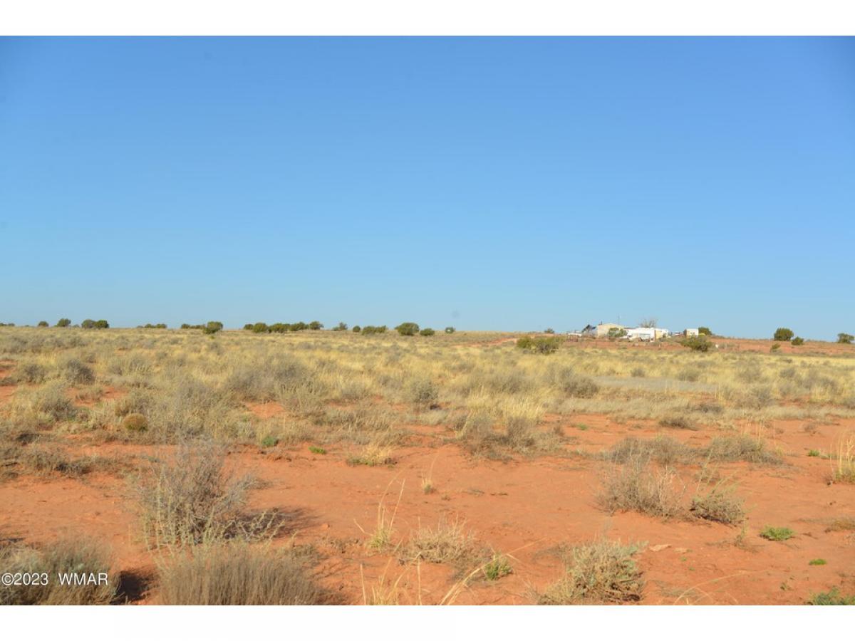 Picture of Residential Land For Sale in Snowflake, Arizona, United States