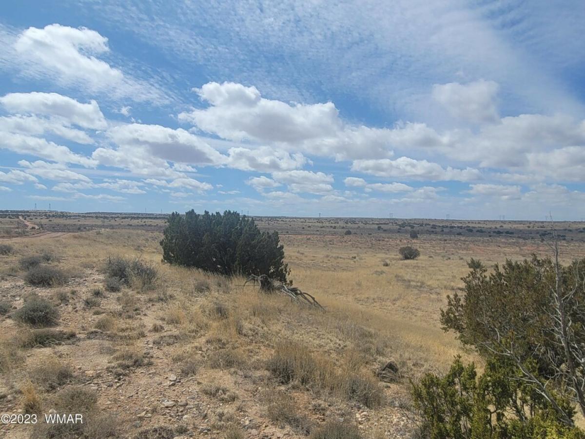 Picture of Residential Land For Sale in Snowflake, Arizona, United States