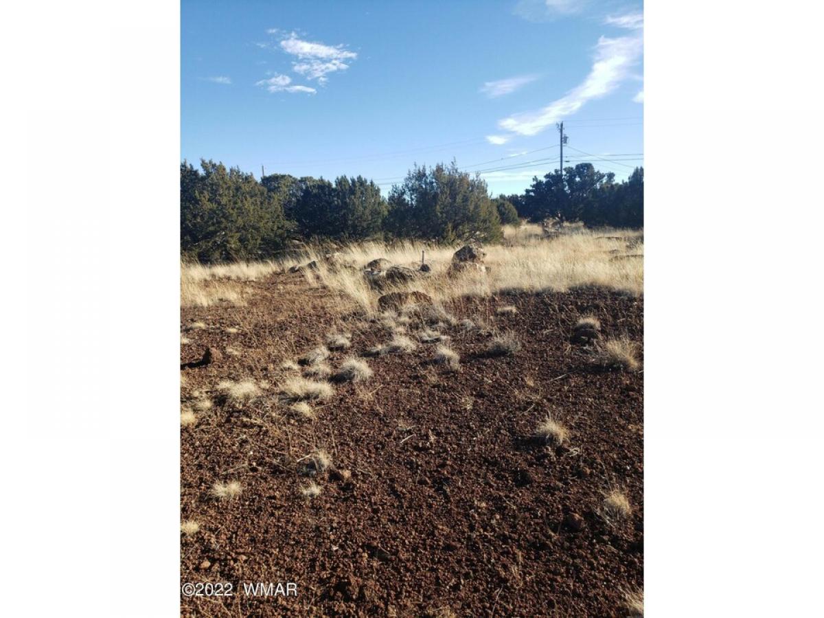 Picture of Residential Land For Sale in Show Low, Arizona, United States