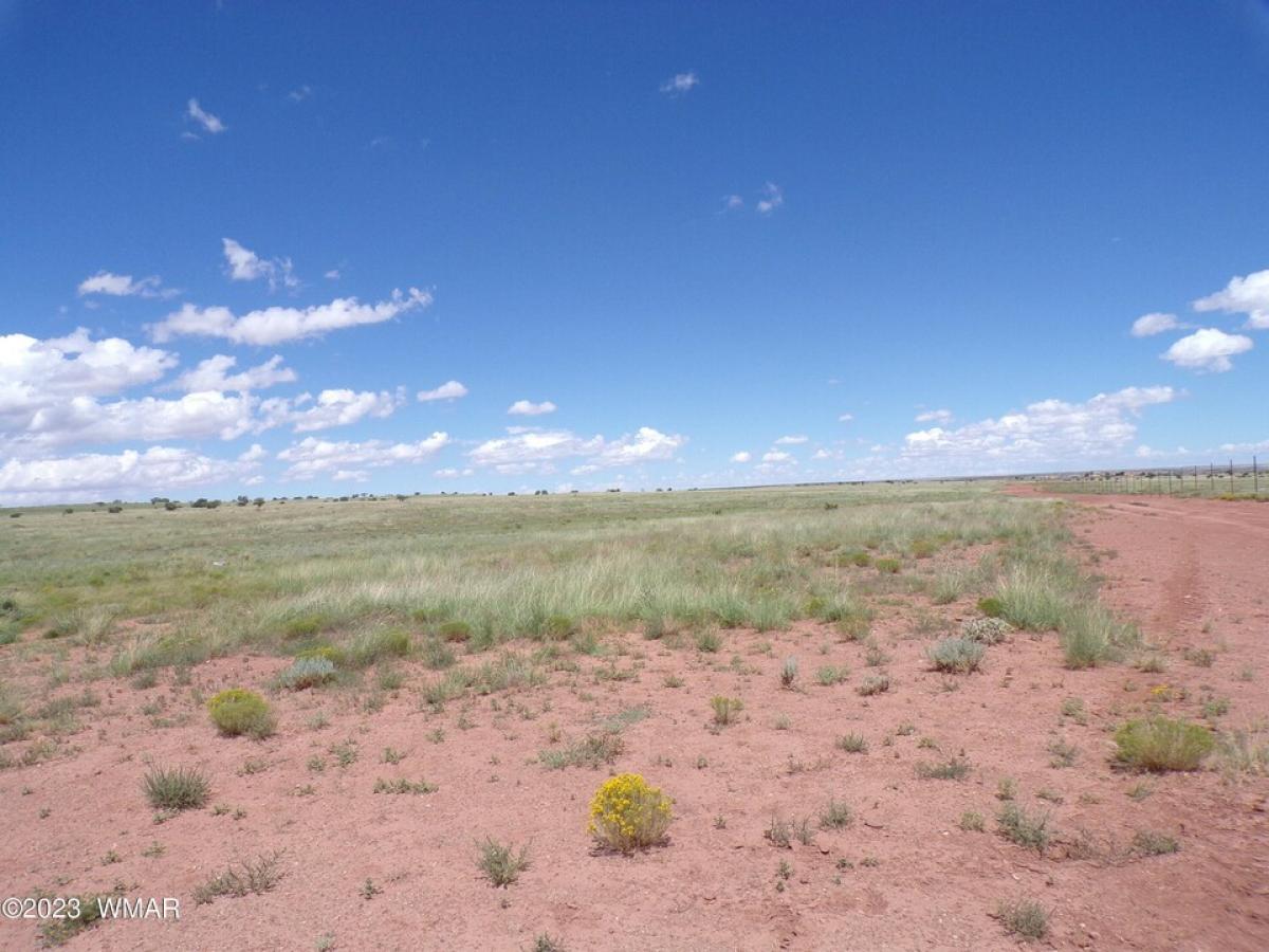 Picture of Residential Land For Sale in Concho, Arizona, United States