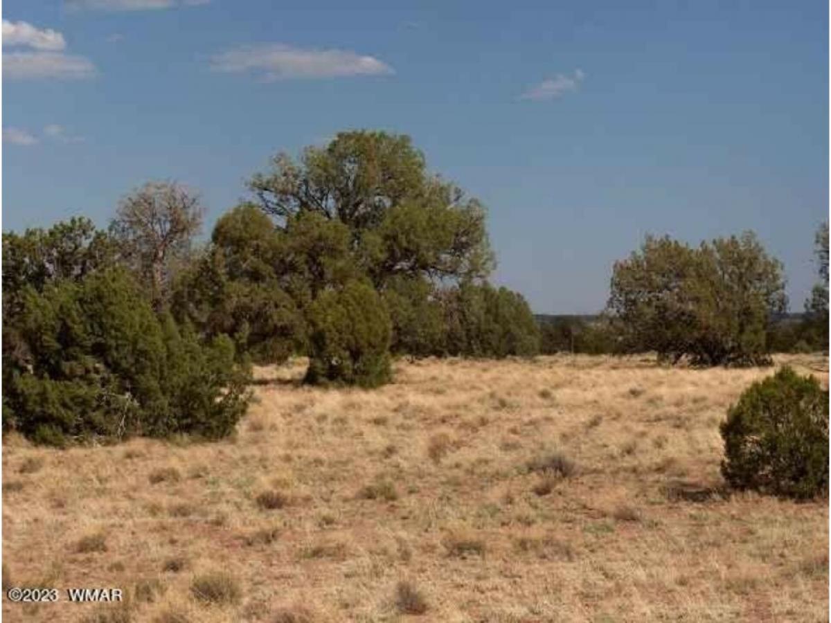 Picture of Residential Land For Sale in Heber, Arizona, United States