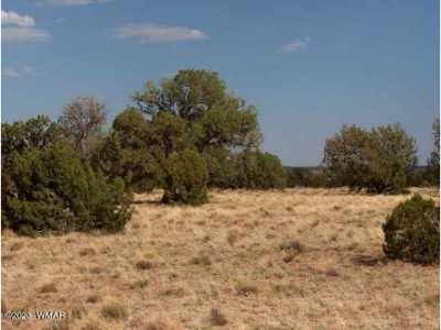 Residential Land For Sale in Heber, Arizona