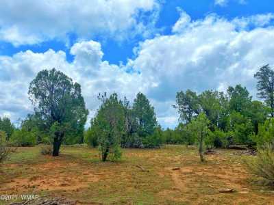 Residential Land For Sale in Heber, Arizona