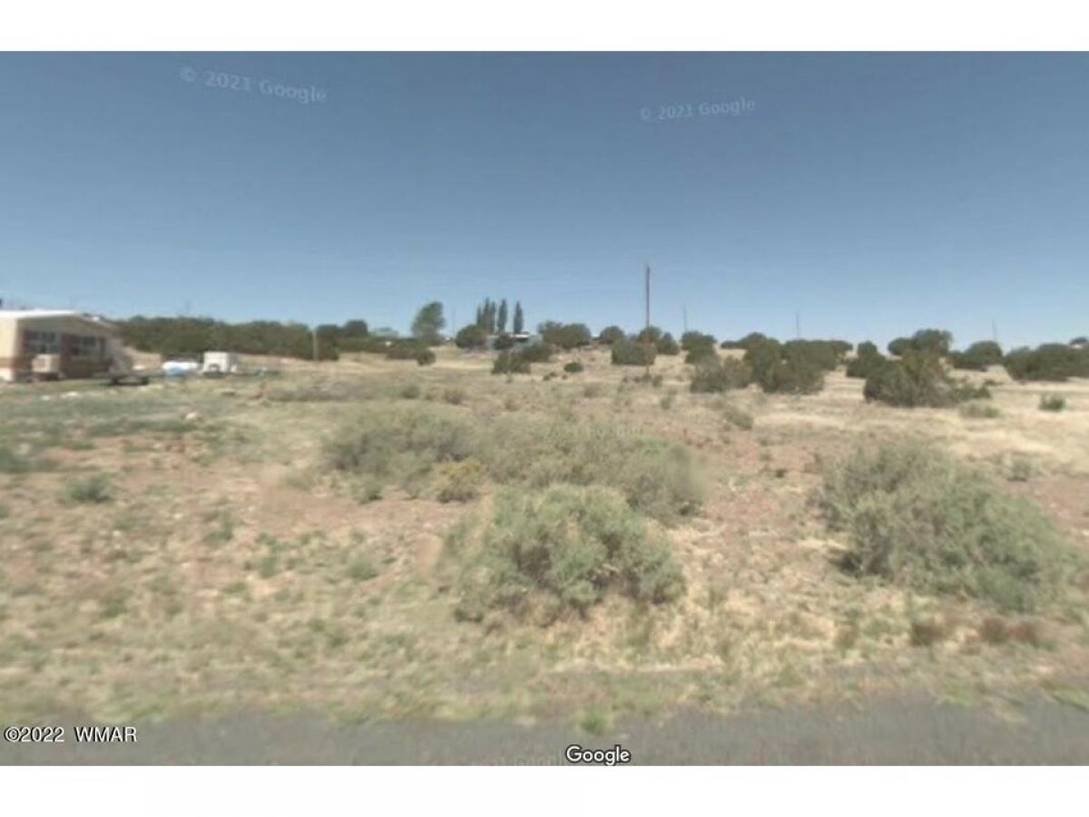 Picture of Residential Land For Sale in Concho, Arizona, United States