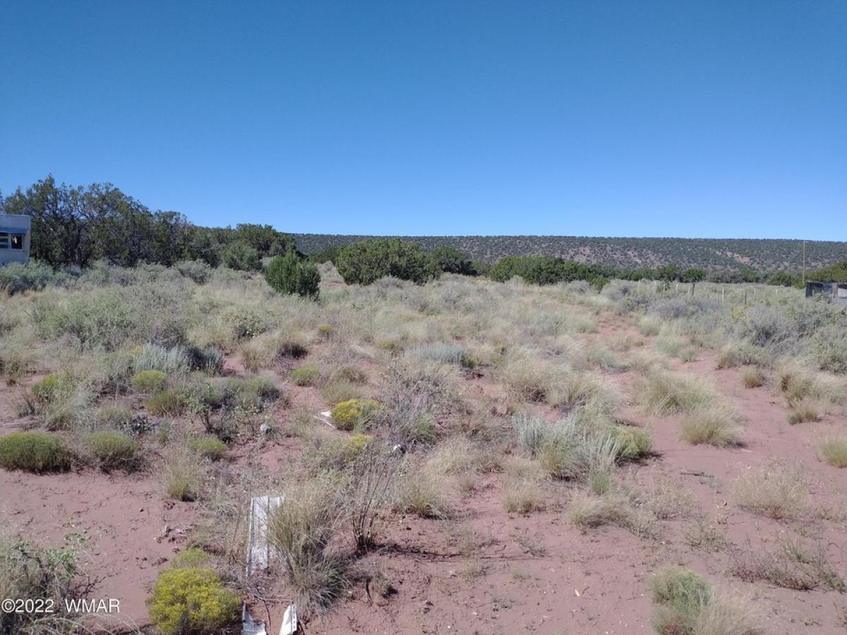 Picture of Residential Land For Sale in Snowflake, Arizona, United States