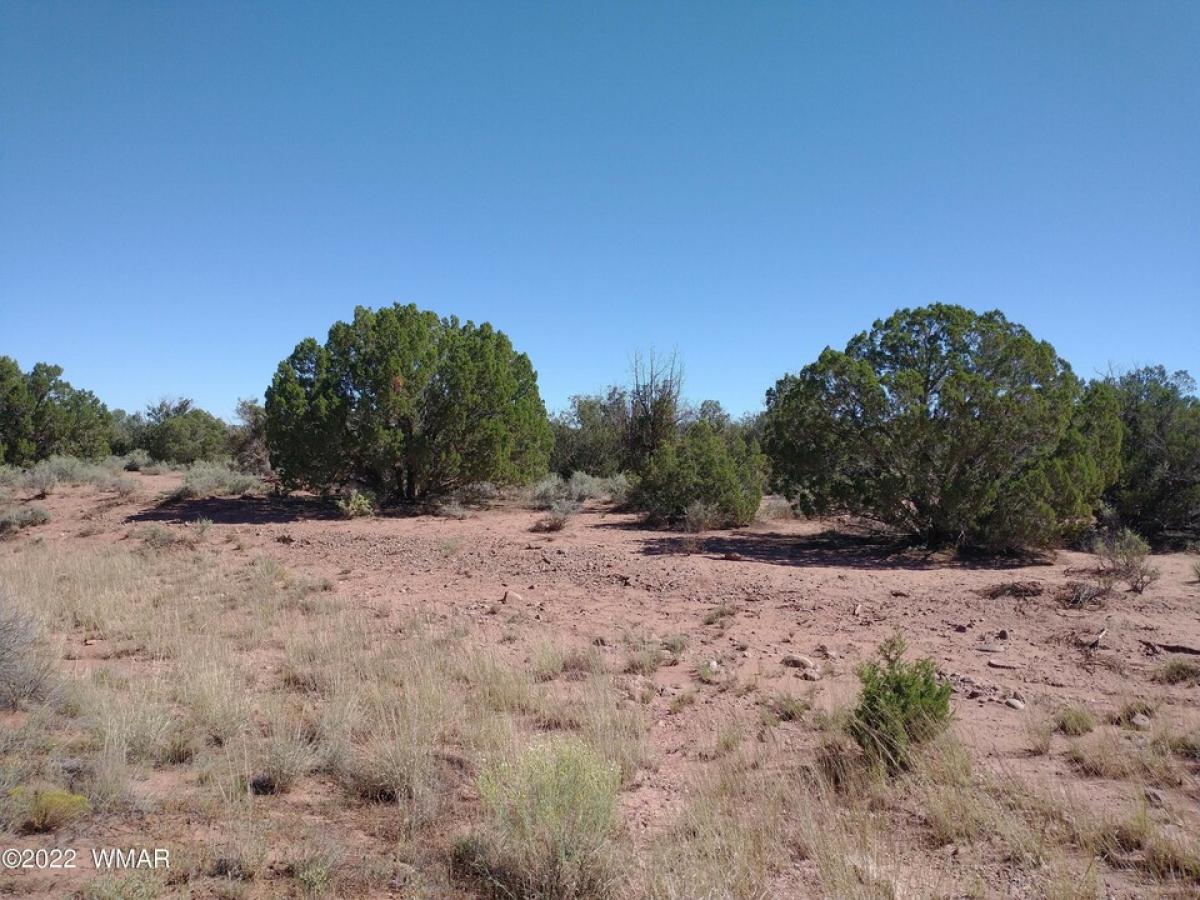 Picture of Residential Land For Sale in Snowflake, Arizona, United States