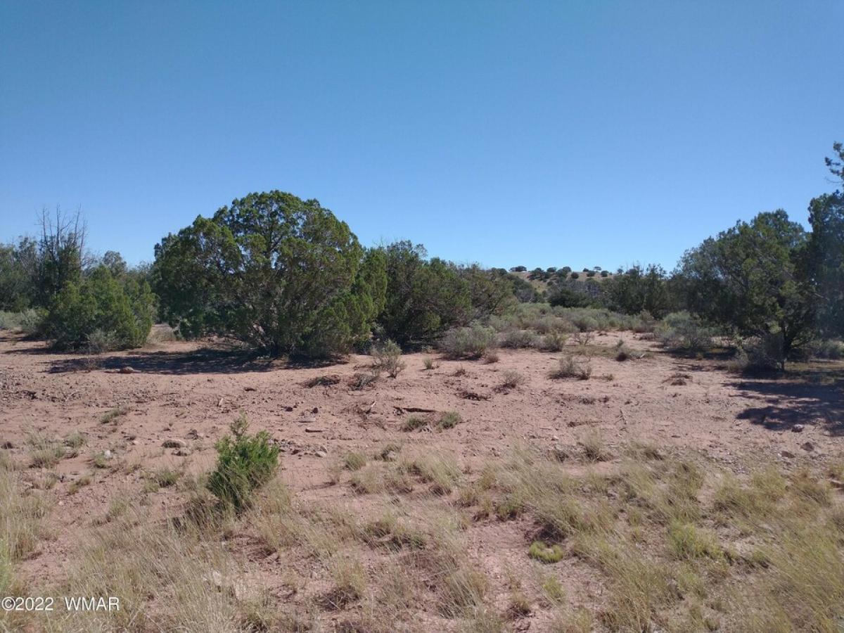 Picture of Residential Land For Sale in Snowflake, Arizona, United States