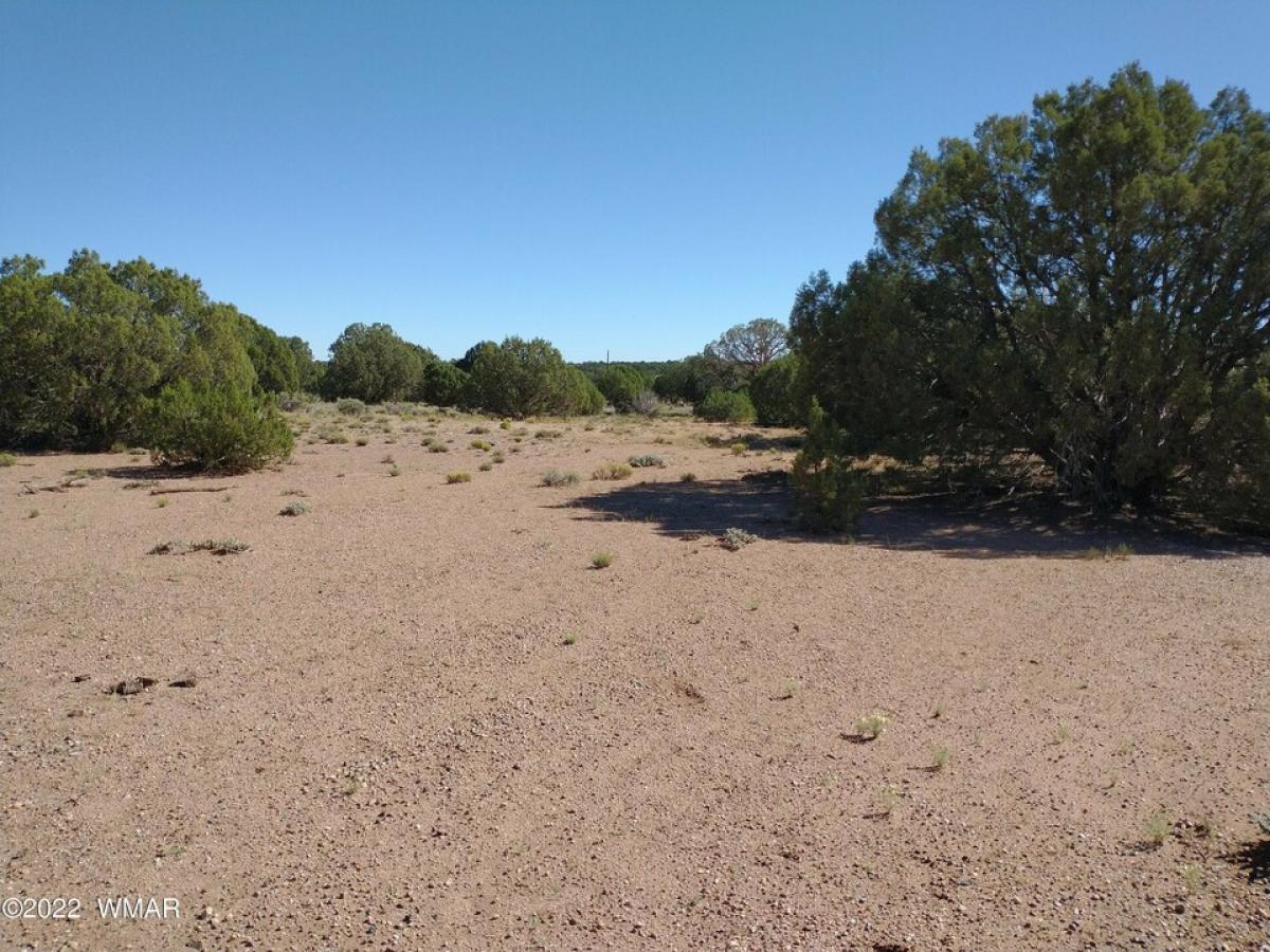 Picture of Residential Land For Sale in Snowflake, Arizona, United States