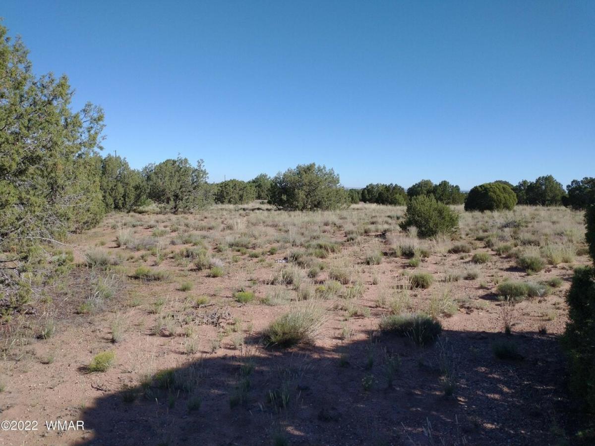 Picture of Residential Land For Sale in Snowflake, Arizona, United States