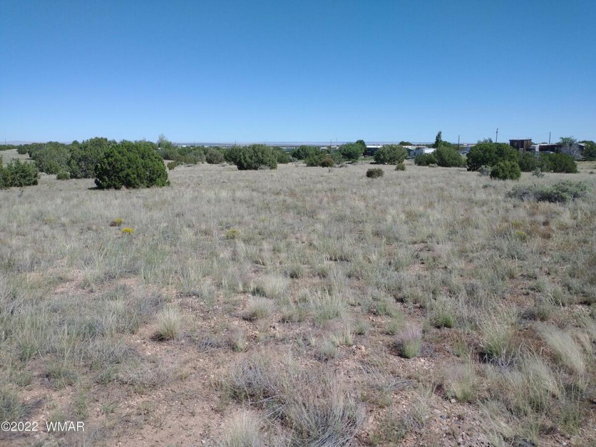 Picture of Residential Land For Sale in Snowflake, Arizona, United States