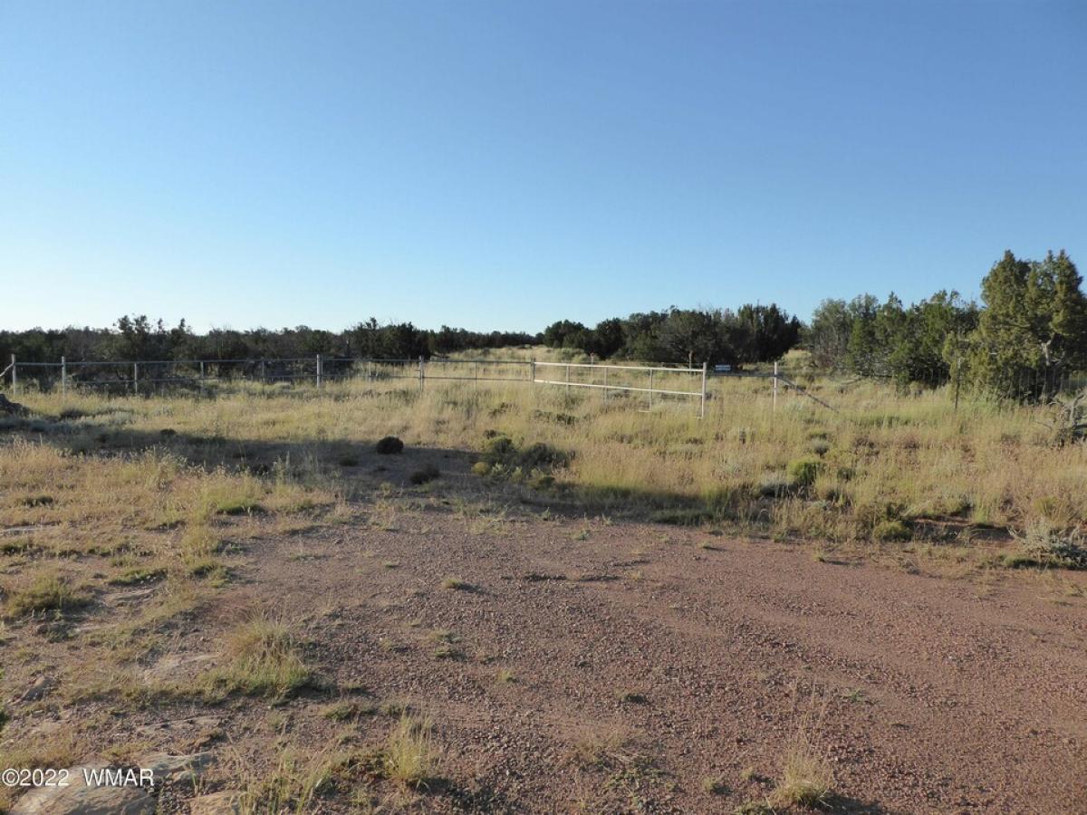 Picture of Residential Land For Sale in Heber, Arizona, United States