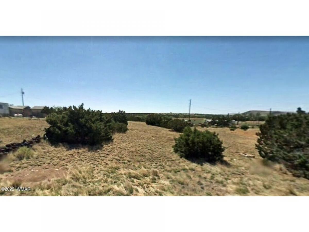 Picture of Residential Land For Sale in Concho, Arizona, United States