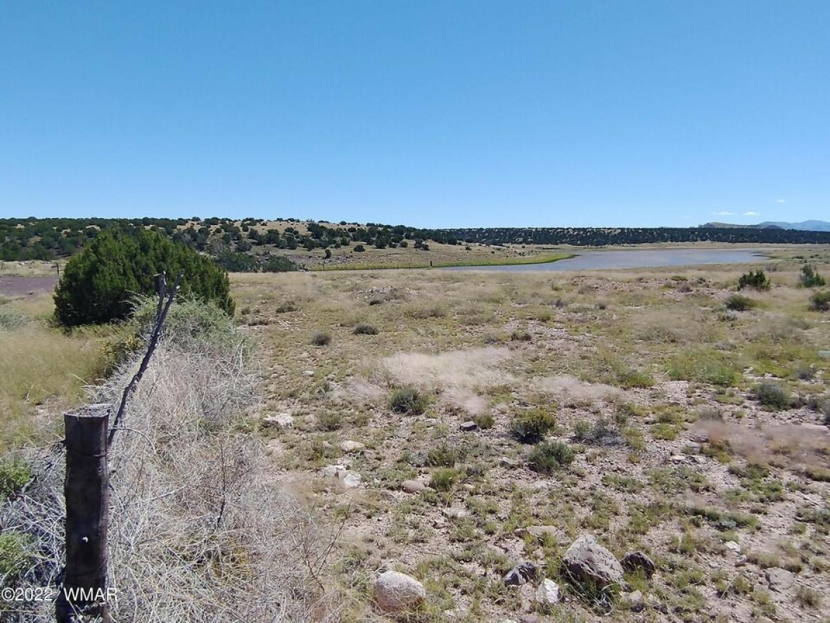 Picture of Residential Land For Sale in Concho, Arizona, United States