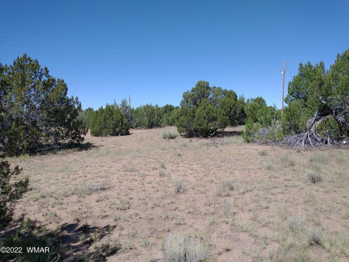 Picture of Residential Land For Sale in Concho, Arizona, United States