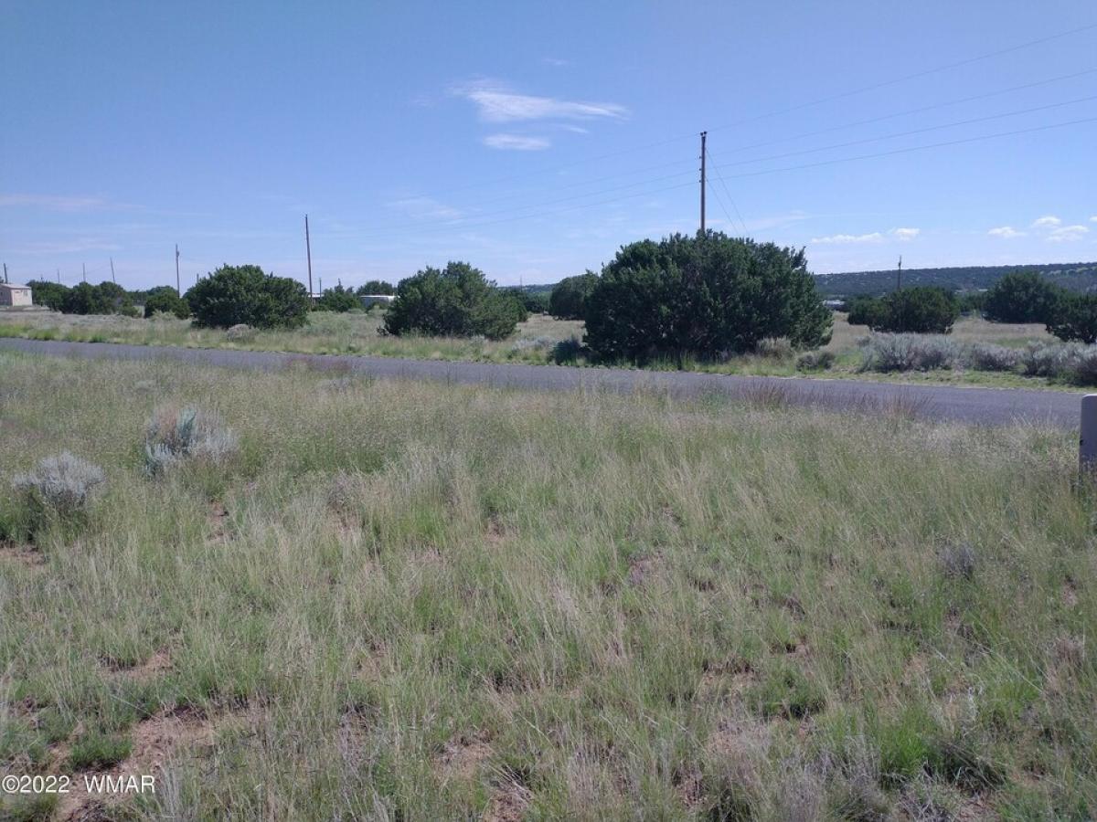 Picture of Residential Land For Sale in Concho, Arizona, United States