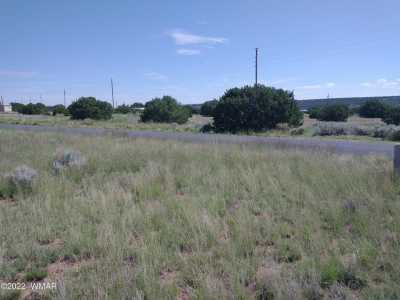 Residential Land For Sale in Concho, Arizona