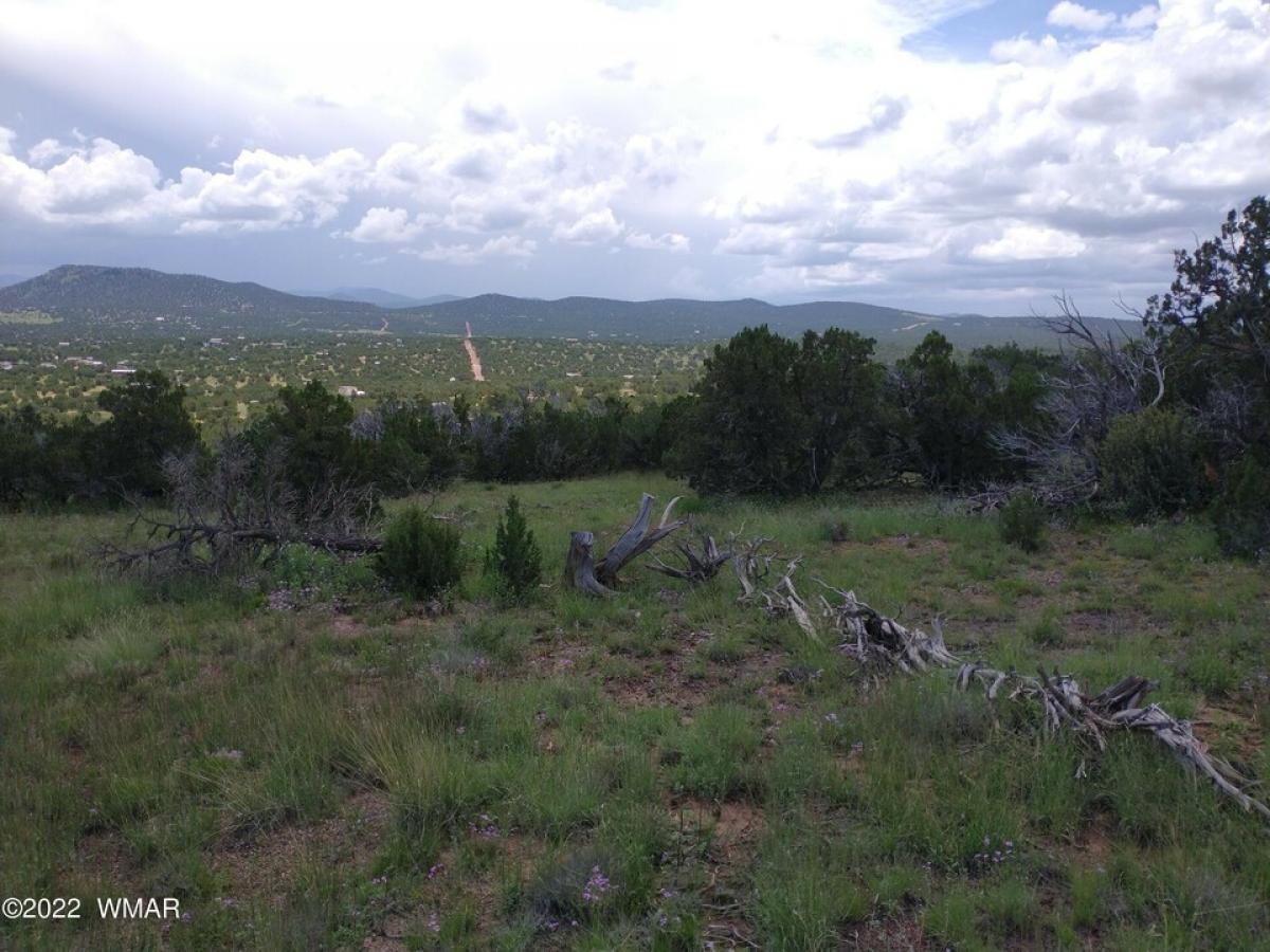 Picture of Residential Land For Sale in Concho, Arizona, United States