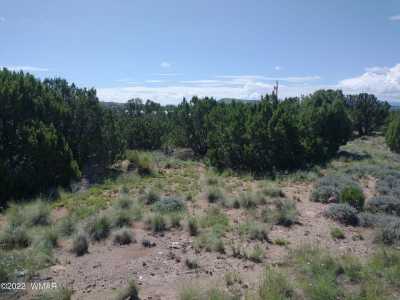 Residential Land For Sale in Concho, Arizona