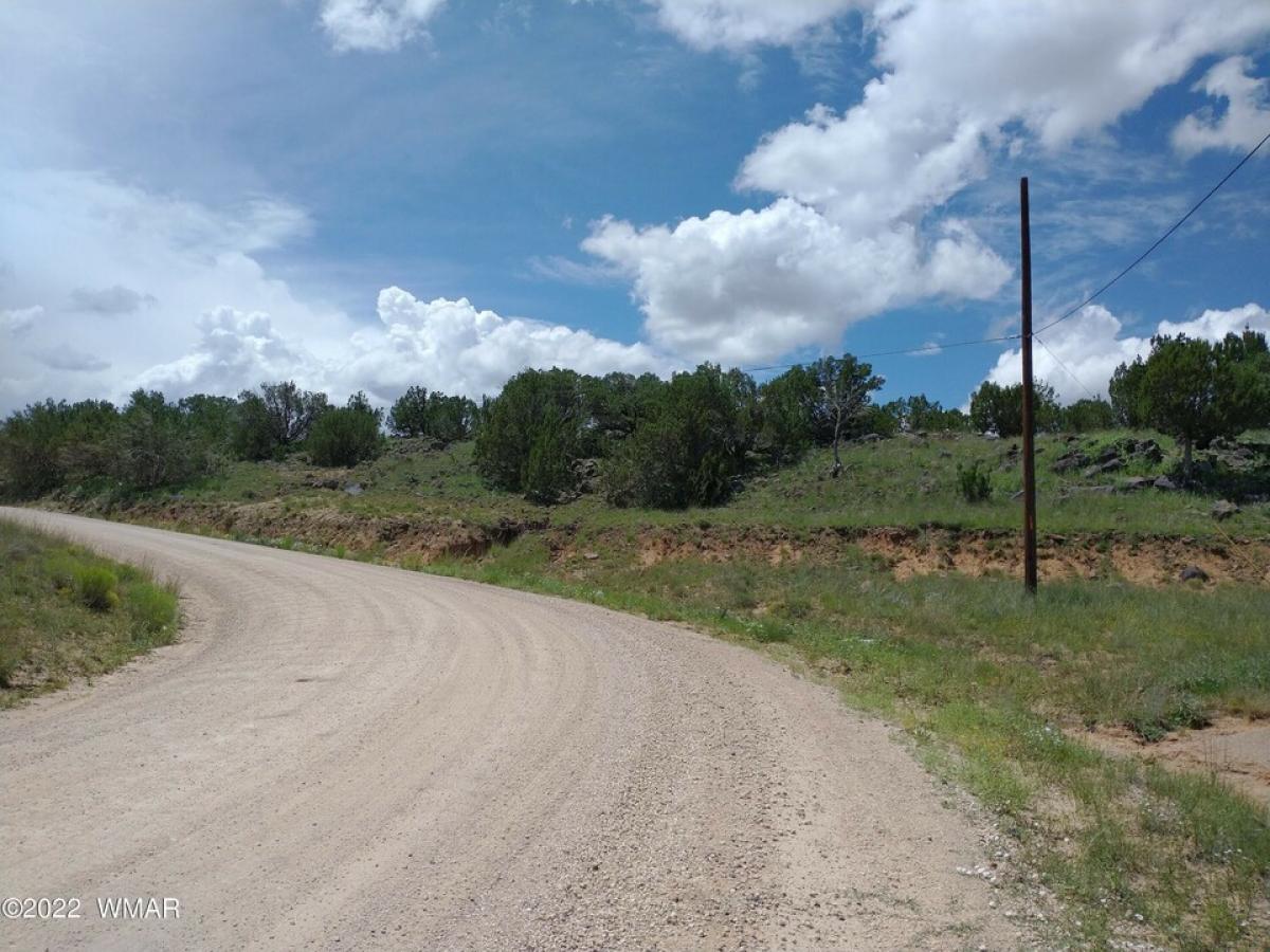 Picture of Residential Land For Sale in Concho, Arizona, United States