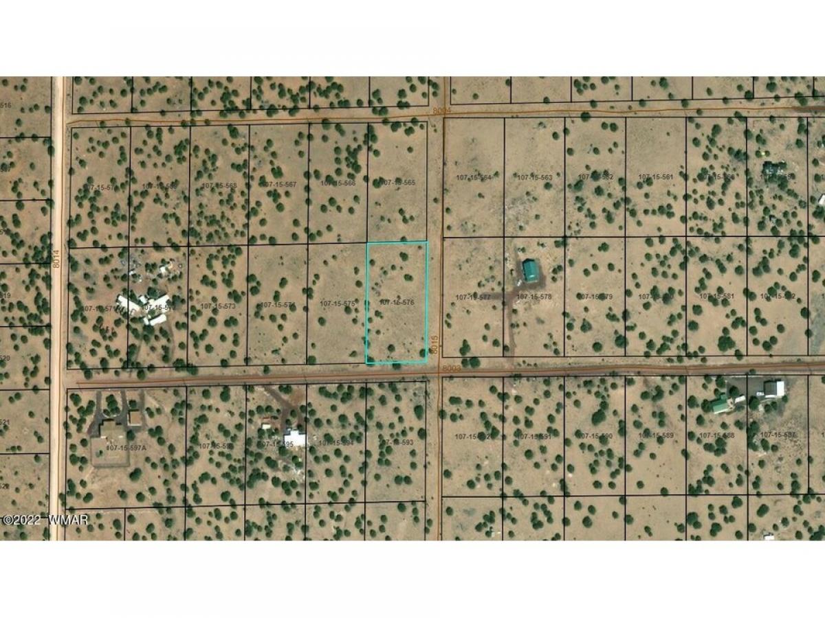 Picture of Residential Land For Sale in Concho, Arizona, United States