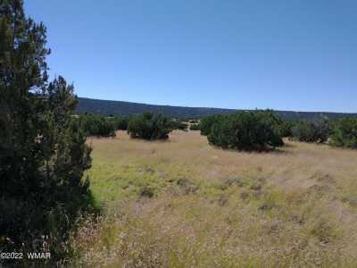 Residential Land For Sale in Concho, Arizona