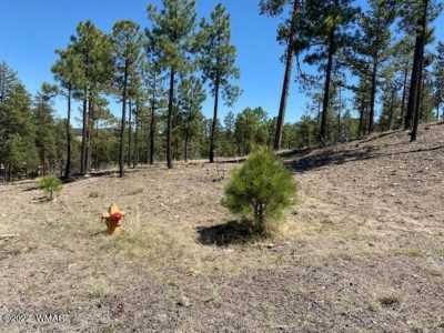 Residential Land For Sale in Alpine, Arizona