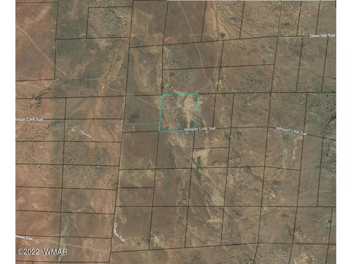 Picture of Residential Land For Sale in Snowflake, Arizona, United States