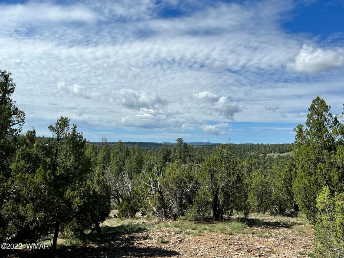 Picture of Residential Land For Sale in Heber, Arizona, United States