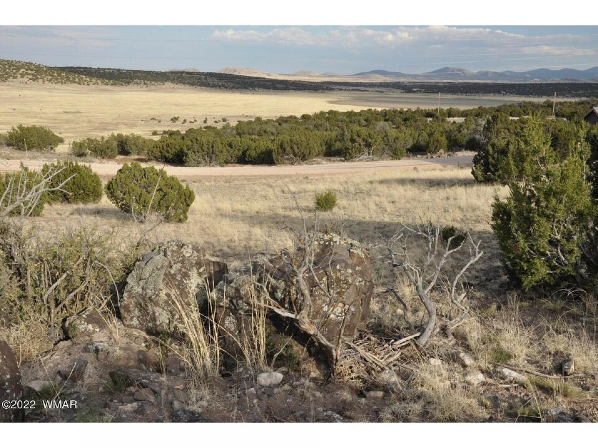 Picture of Residential Land For Sale in Concho, Arizona, United States