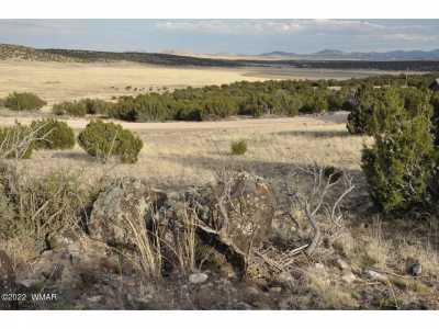 Residential Land For Sale in Concho, Arizona