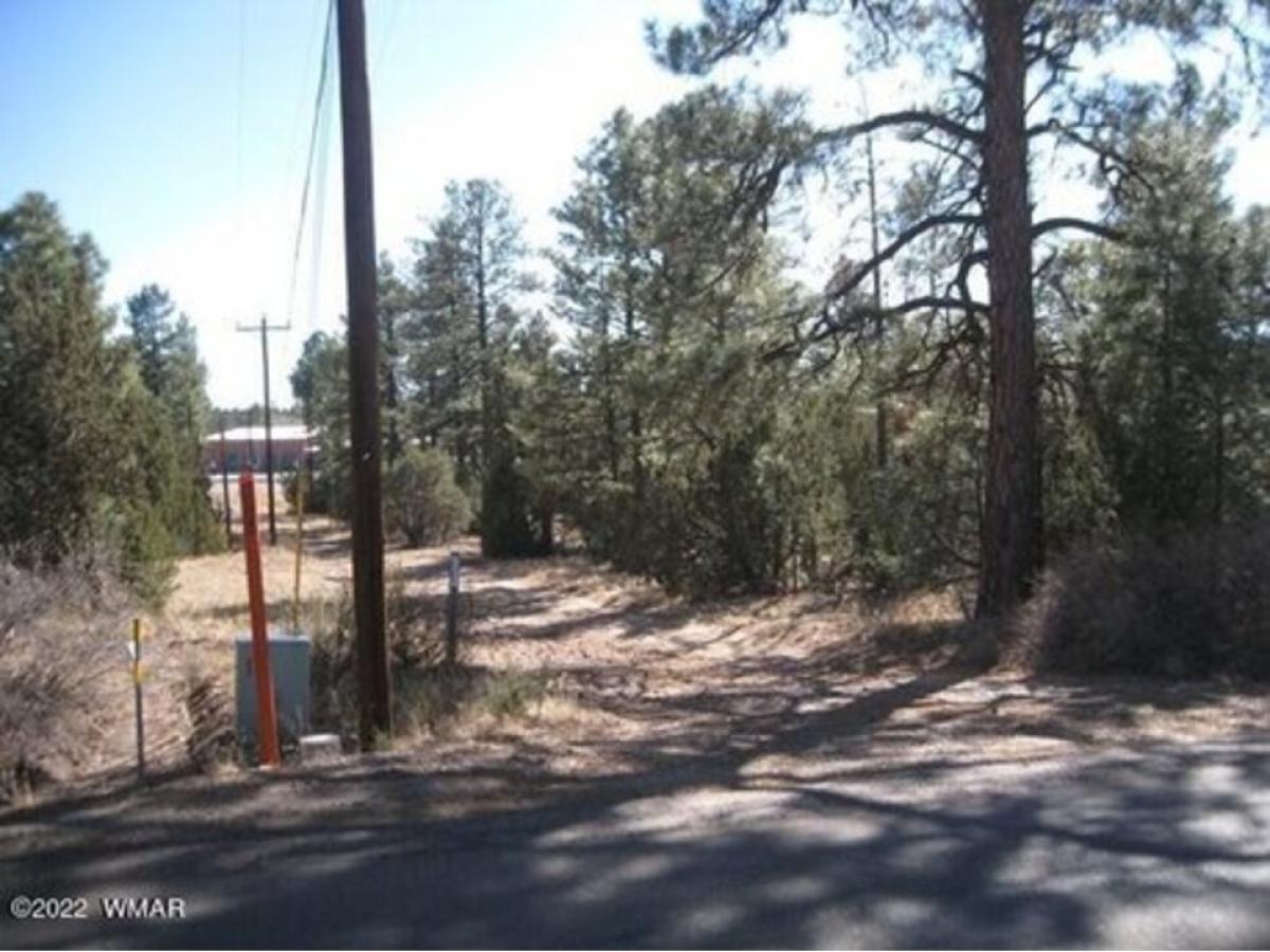 Picture of Residential Land For Sale in Overgaard, Arizona, United States