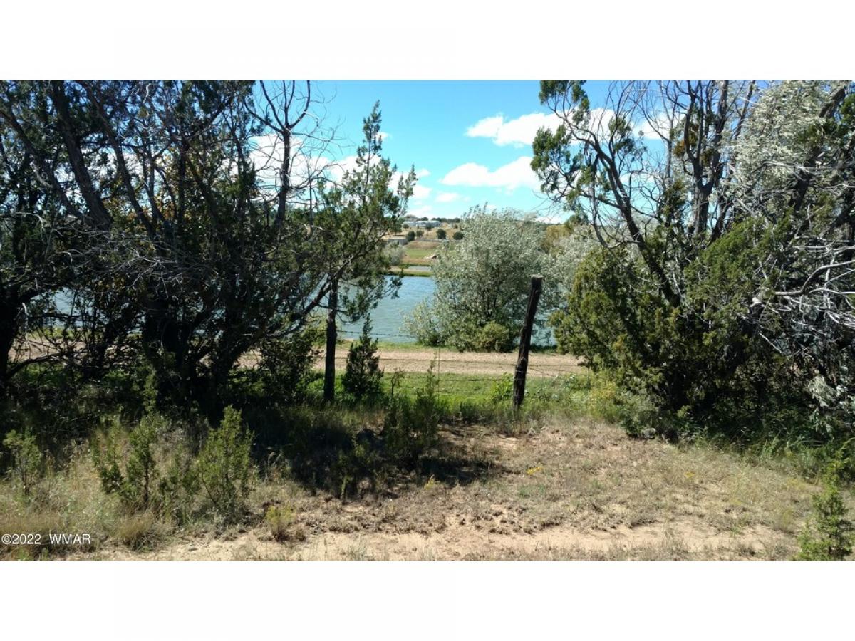 Picture of Residential Land For Sale in Show Low, Arizona, United States