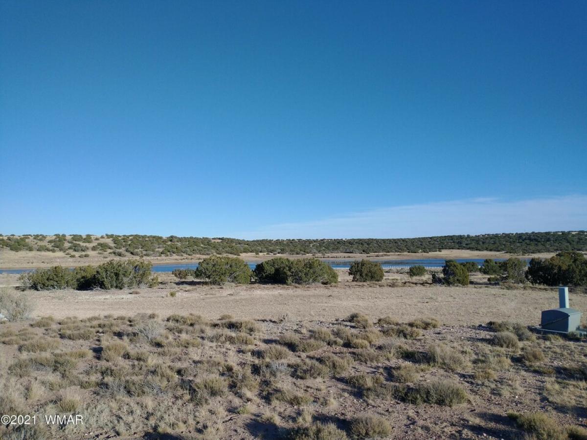 Picture of Residential Land For Sale in Concho, Arizona, United States