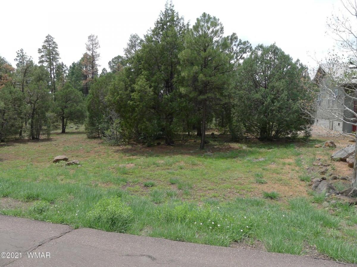 Picture of Residential Land For Sale in Show Low, Arizona, United States